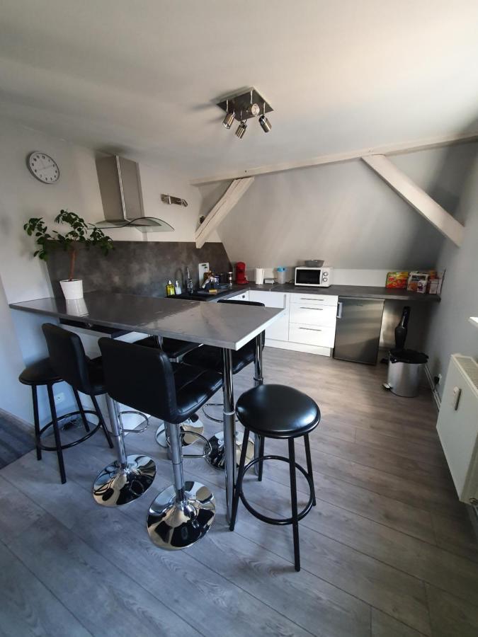 Chic & Cosy Apartment Haguenau Exterior foto